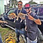 French montana sur yala.fm